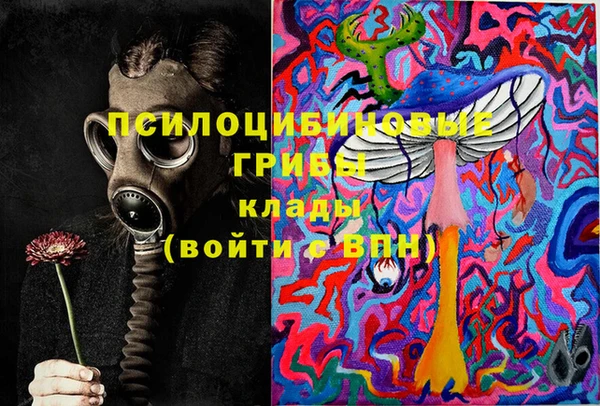 apvp Балахна