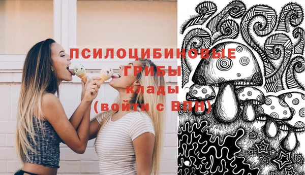 apvp Балахна