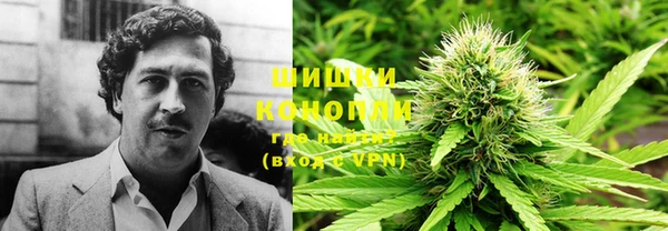 apvp Балахна