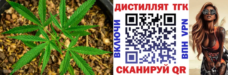 где купить наркотик Кувандык Дистиллят ТГК концентрат
