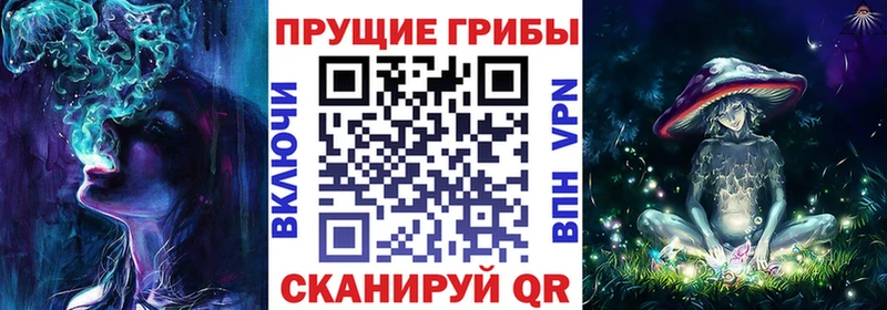Галлюциногенные грибы Magic Shrooms  Кувандык 