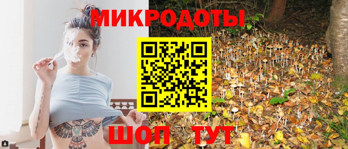 Галлюциногенные грибы Cubensis Кувандык
