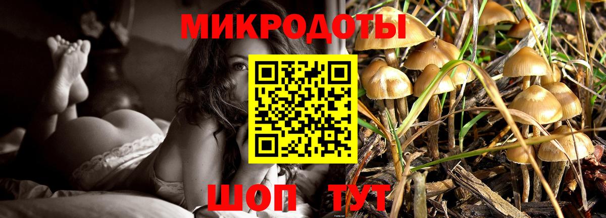 Галлюциногенные грибы MAGIC MUSHROOMS  Вход с VPN  Кувандык 