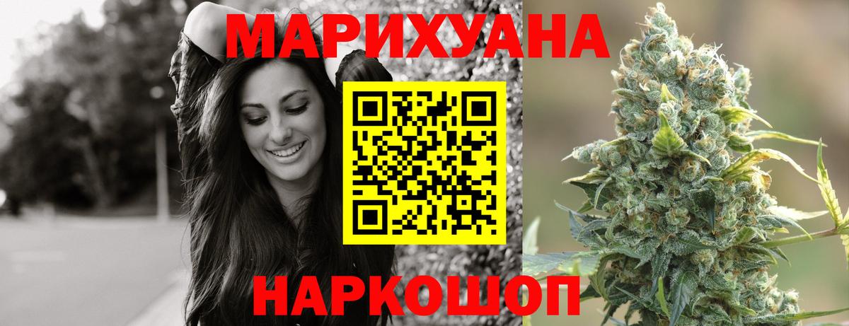 Канабис планчик Кувандык